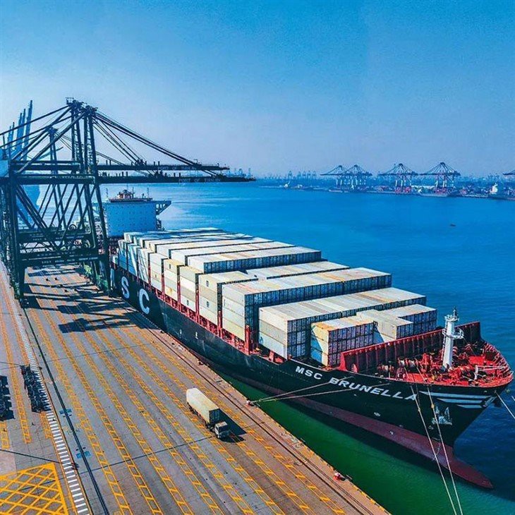 Professional Freight Forwarder FCL Sea Shipping Agent